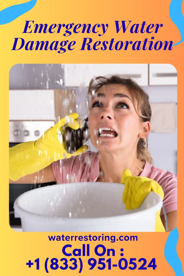 Emergency Water Damage Restoration in Ellendale, ND